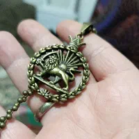 گردنی شیر|بدلیجات|بجنورد, |دیوار