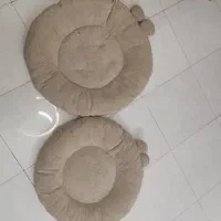 جای خواب سگ و گربه