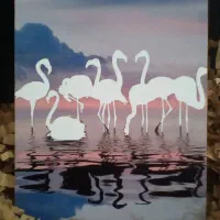 شاسی عکس ادیت شده با فتوشاپ