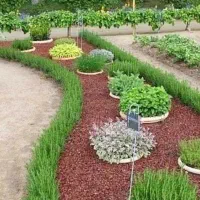 خدمات باغبانی در سراسر پردیس|خدمات باغبانی و درختکاری|پردیس, فاز ۲|دیوار