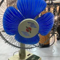 پنکه در دیجیتالی نو نو