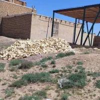 فروش زمین / باخرز / قلعه نو علیا|فروش زمین و ملک کلنگی|بالا ولایت, |دیوار