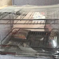 ابچکان رومیزی