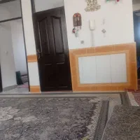 تمیز کاری نظافت چی خانم و آقا
