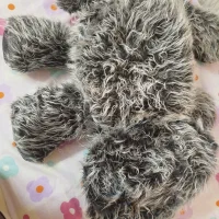 عروسک خرس|اسباببازی بچه|قزوین, |دیوار