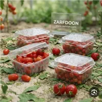 ظروف یکبار مصرف گوجه و بلوبری