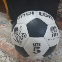 توپ چمن سالنی