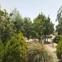 باغ دیوار کشی شده سند دار