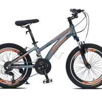 انواع مدل دوچرخه دخترانه|دوچرخه، اسکیت، اسکوتر|یزد, |دیوار