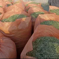 فروش عمده کاه لوبیا،کاه گندم خرمن کوب، یونجه|حیوانات مزرعه|شیروان (خراسان), |دیوار