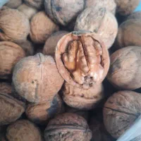 گردو|خوردنی و آشامیدنی|اصفهان, قائمیه|دیوار