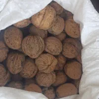 گردوی پوست کاغذی اصل تویسرکان|خوردنی و آشامیدنی|محمدشهر, محمدشهر|دیوار
