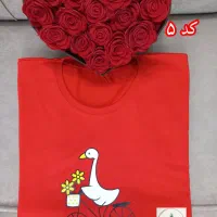 تیشرت زنانه نخ پنبه|لباس|قم, تولید دارو و یخچال|دیوار