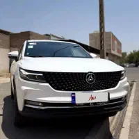 دیگنیتی تک برگ استثنائی