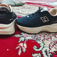 پالتو نونو کفش نو تاحالا پا نرفته