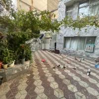 مطهری-180متری-تراکم-بالا-شمالی