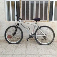 گردن بند مردانه مرغ عشق  دوچرخه