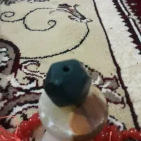 مهره های قدیمی وسرانگشتری|کلکسیون اشیاء عتیقه|ملایر, |دیوار