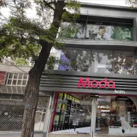 مدل، بلاگر، بازیگر اینستاگرام