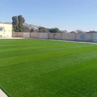 چمن طبیعی|گل و گیاه طبیعی|دزفول, |دیوار