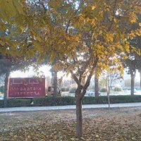 کیان بار بجنورد شهر وشهرستان