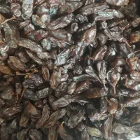 کشمش افتابی خوش طعم