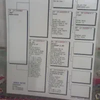 کبوتر شناسنامه دار