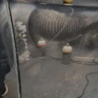 ادمین (خانم)نیازمندیم|استخدام رایانه و فناوری اطلاعات|قم, بنیاد|دیوار