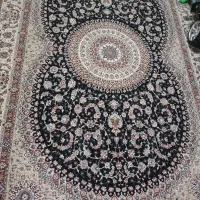 فروش فرش نو|فرش|همدان, |دیوار