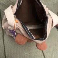 کیف حمل سگ و گربه|لوازم جانبی حیوانات|رشت, گلسار|دیوار