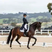 آموزش سوارکاری