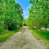 ویلای بسیار شیک با امکانات در طبیعت بکردیدنی