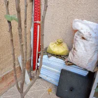 قفسه ویترین|کتابخانه، شلف، قفسههای دیواری|اردبیل, |دیوار