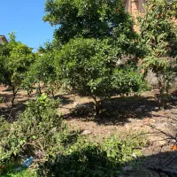 فروش خانه سرا|فروش زمین و ملک کلنگی|طبقده, |دیوار