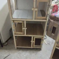 جفت کن کبوتر