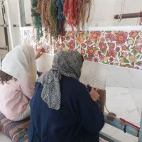 آموزش و استخدام قالیبافی