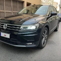 فلوکس تیگوان