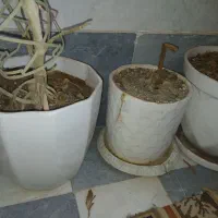 ۳ عدد گلدان کارکرده