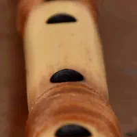 نی هفت بند ایرانی|سازهای بادی|بندرعباس, |دیوار