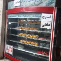 یخچالمرغی دوموتوره