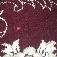 فرش دسته دوم|فرش|کرمانشاه, |دیوار