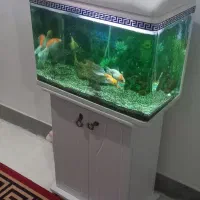 اکواریوم دلسا شیشه خم با میز و ماهی دلیل فروش کوچ