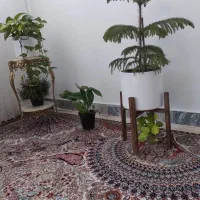 با انتخاب و سلیقه خودتون
