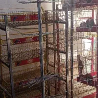 میز پاچال وگردون جوراب و ادویه|فروشگاه و مغازه|مشهد, پنجتن|دیوار