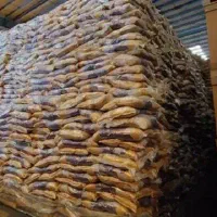 برنج عمده پاکستانی هندی لودهران ۱۲۴۳۲