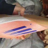 کفش سالنی|کیف، کفش، کمربند|فشاپویه, |دیوار