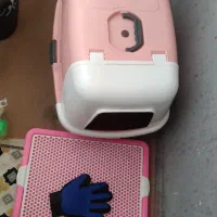 جای خاک وجلو خاک گیر گربه