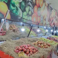 وسایل و تجهیزات میوه فروشی|فروشگاه و مغازه|فیروزآباد (فارس), |دیوار