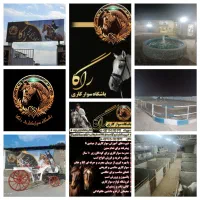 استخدام دفتردار