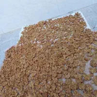 ترشی‌تازه‌مال‌‌سه‌روزازانارجداوپاک‌کردیم|خوردنی و آشامیدنی|مسجد سلیمان, |دیوار